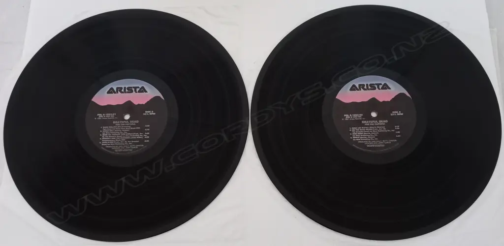 The Grateful Dead, Reckoning (Double album) Image 1++
